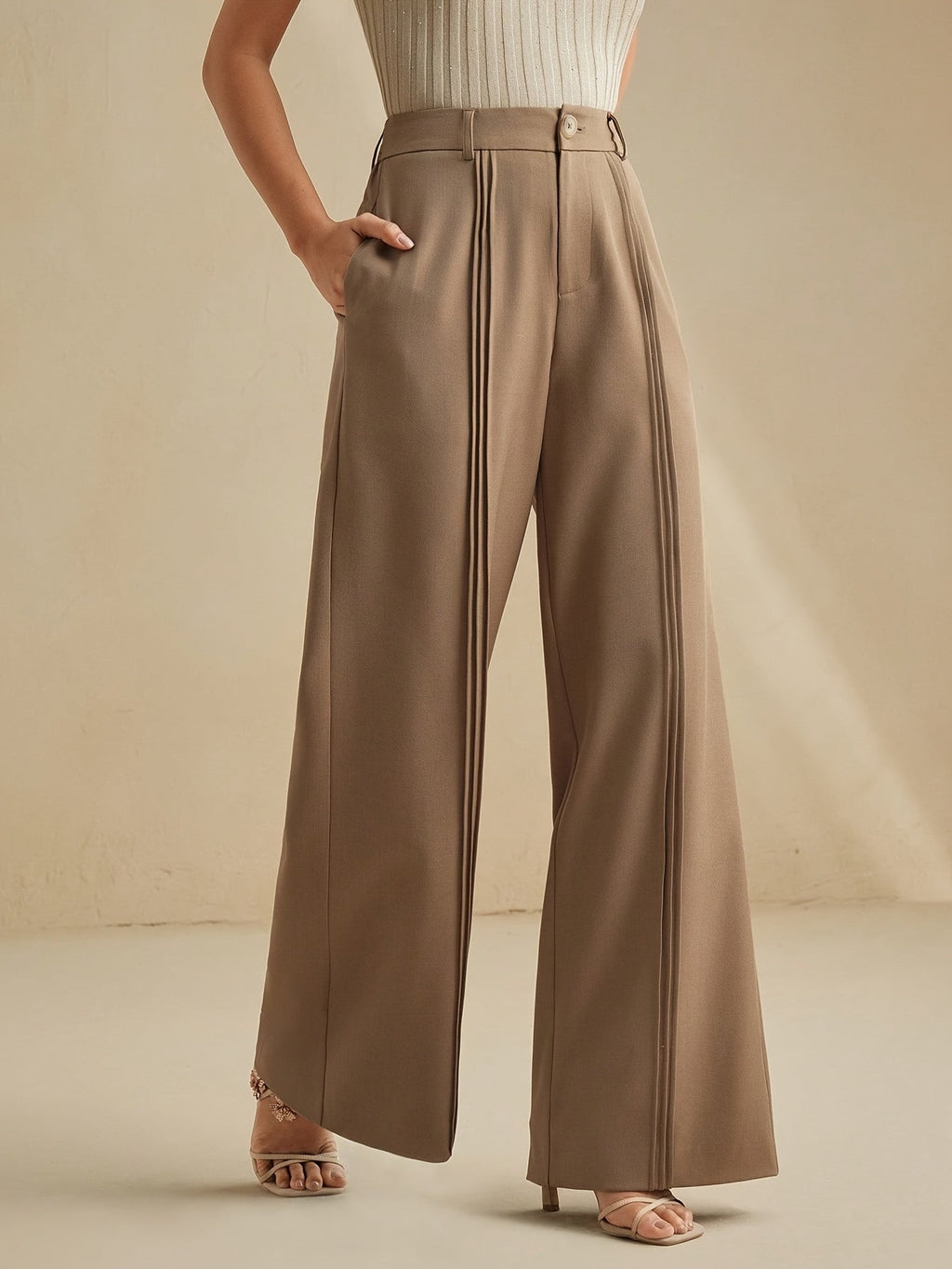 Black pleated wide-leg Pants